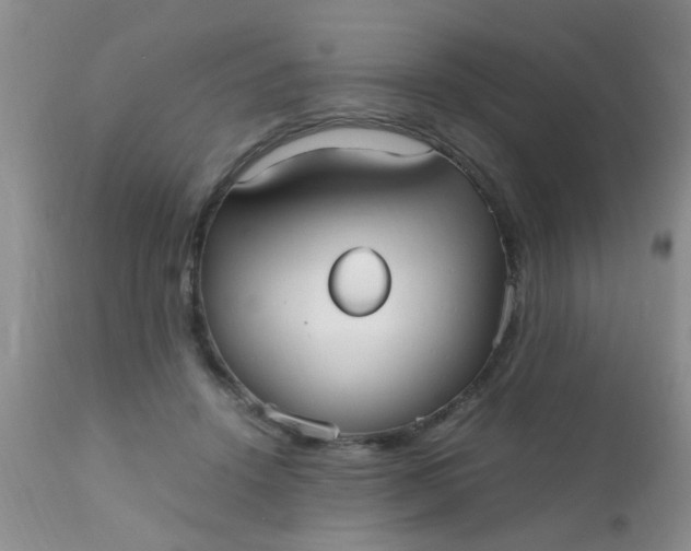 X0000110950456200907022201