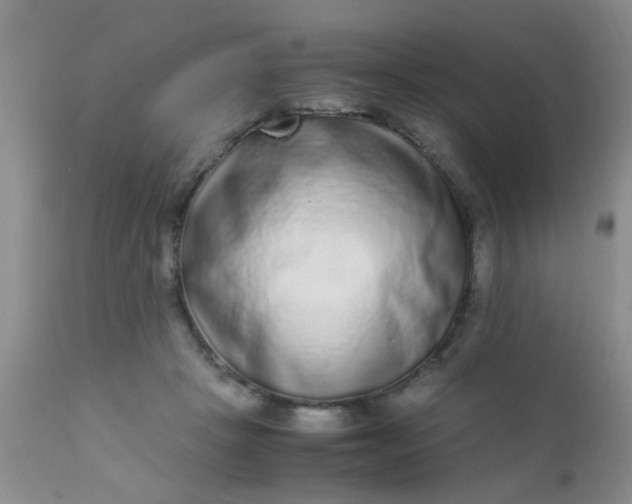 X0000110950457200907022201