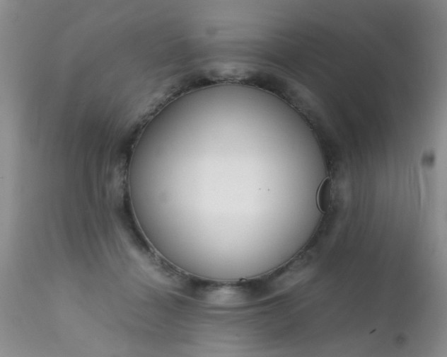 X0000110950460200907022201