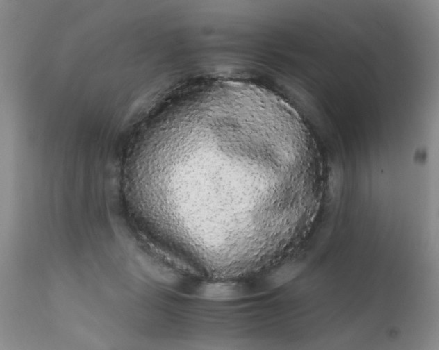 X0000110950461200907022201