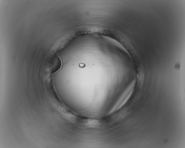 X0000110950462200907022201