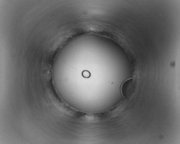 X0000110950464200907022201