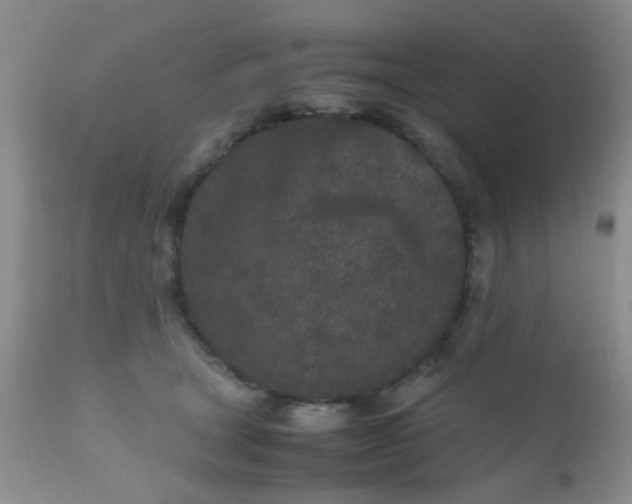 X0000110950465200907022201