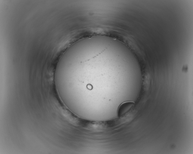 X0000110950466200907022201