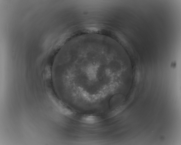 X0000110950467200907022201