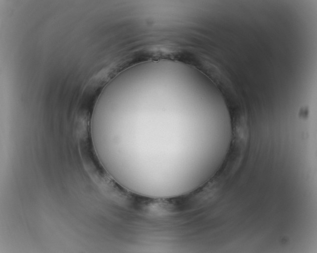 X0000110950468200907022201