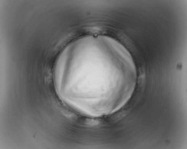 X0000110950469200907022201