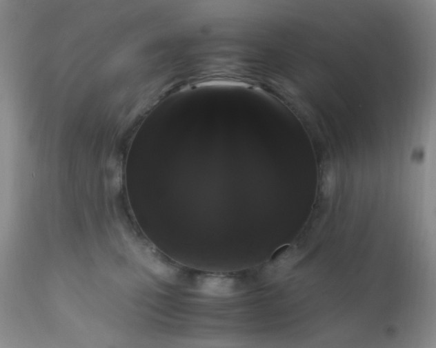 X0000110950471200907022201