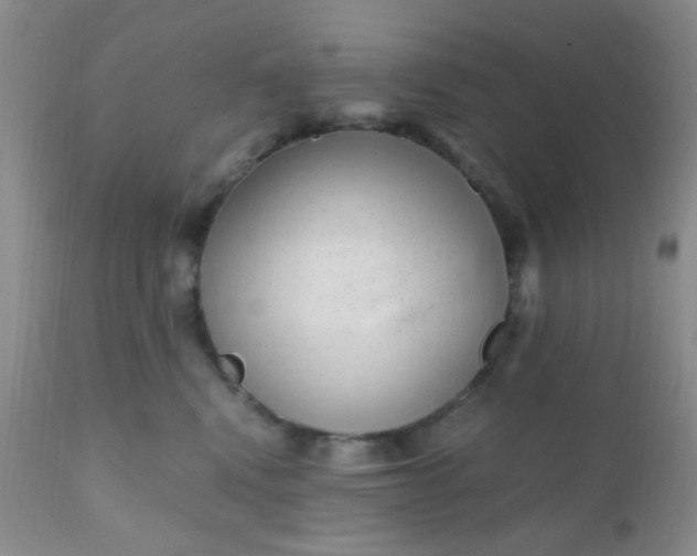 X0000110950472200907022201