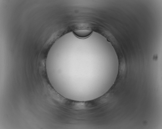 X0000110950473200907022201