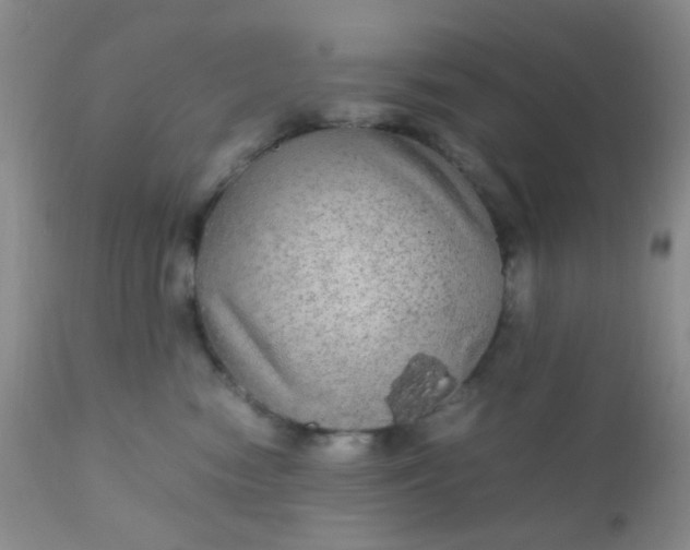 X0000110950474200907022201