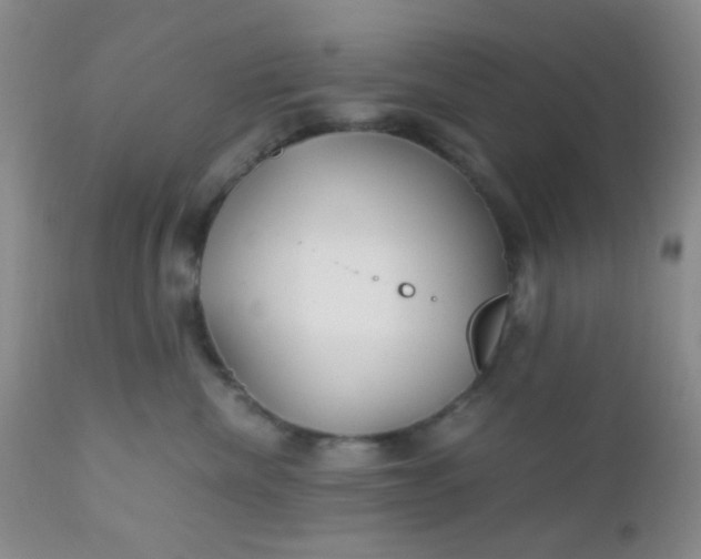 X0000110950476200907022201