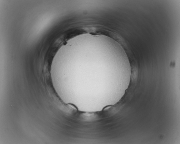 X0000110950477200907022201