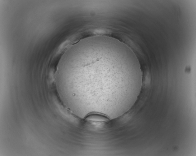 X0000110950478200907022201