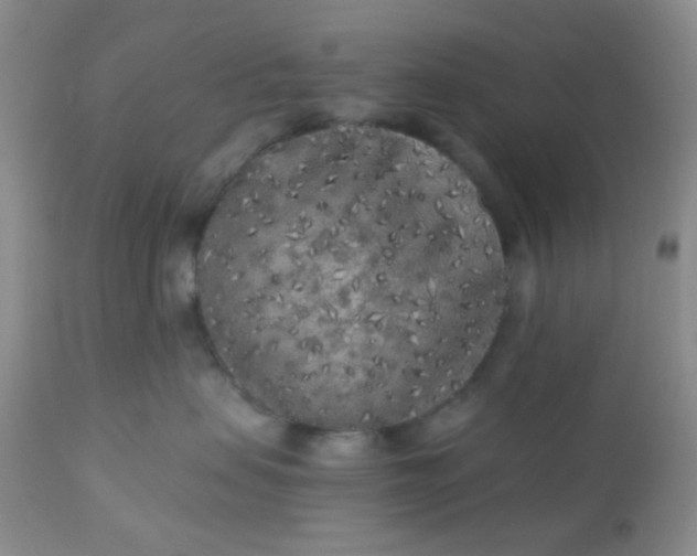 X0000110950479200907022201