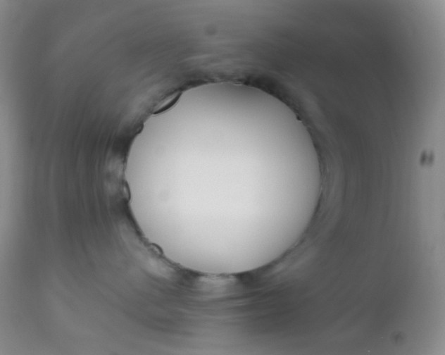 X0000110950480200907022201