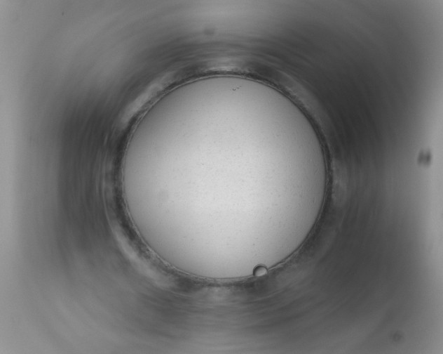 X0000110950482200907022201