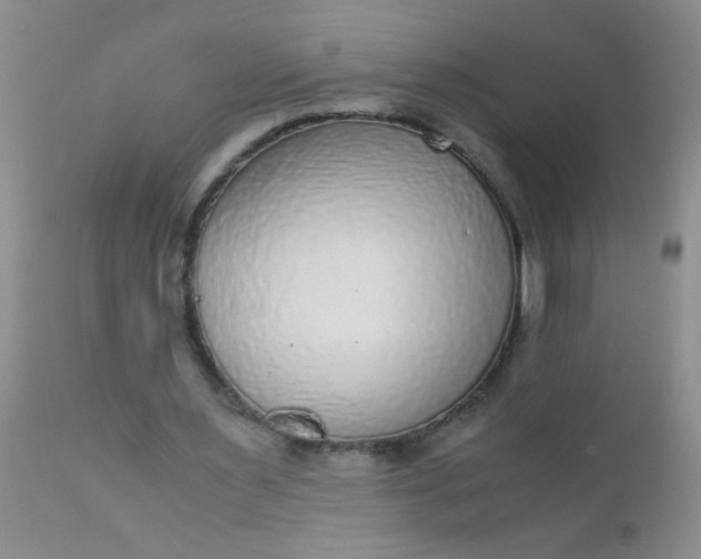 X0000110950483200907022201