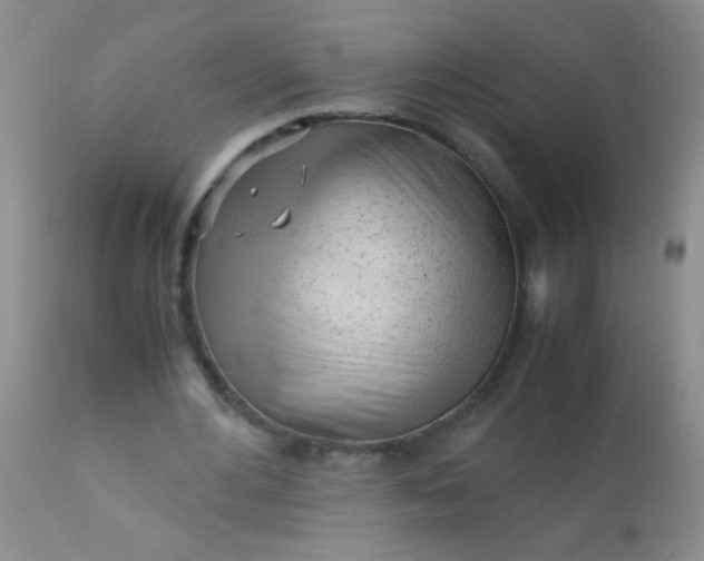 X0000110950484200907022201