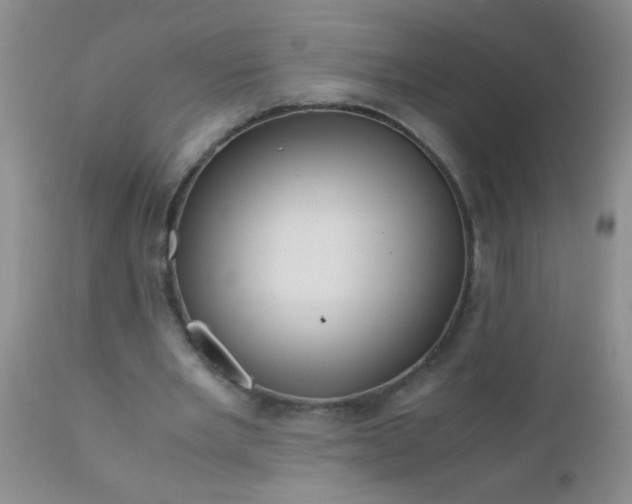 X0000110950485200907022201