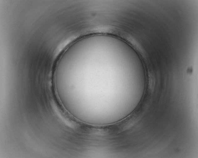 X0000110950486200907022201