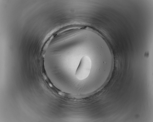 X0000110950488200907022200