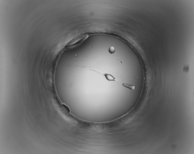 X0000110950489200907022200