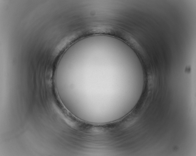 X0000110950490200907022200