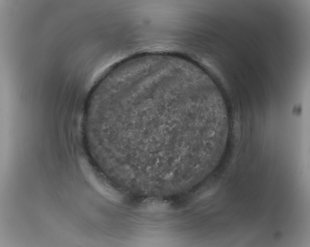 X0000110950491200907022200