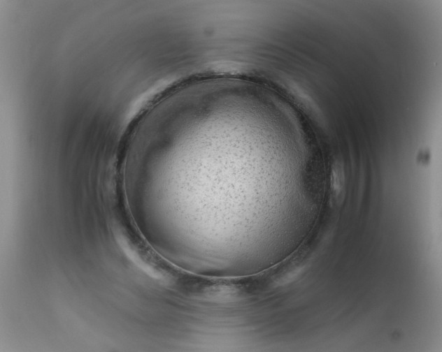 X0000110950492200907022200