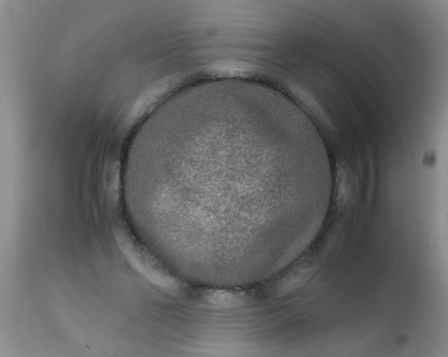 X0000110950494200907022200