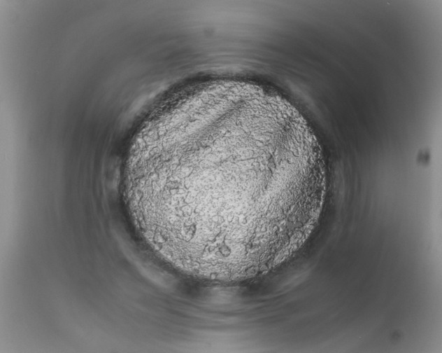 X0000110950495200907022200