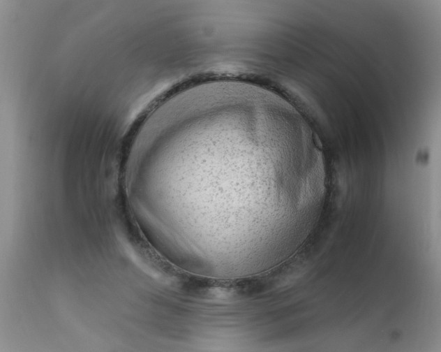 X0000110950496200907022200