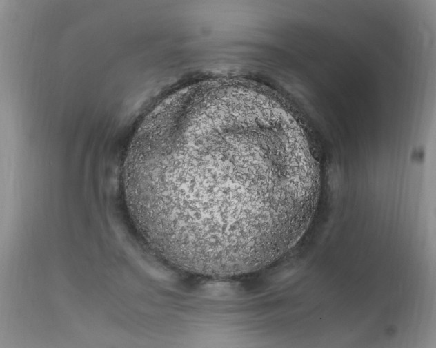 X0000110950499200907022200