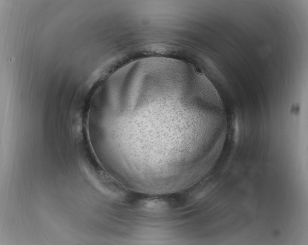 X0000110950500200907022200