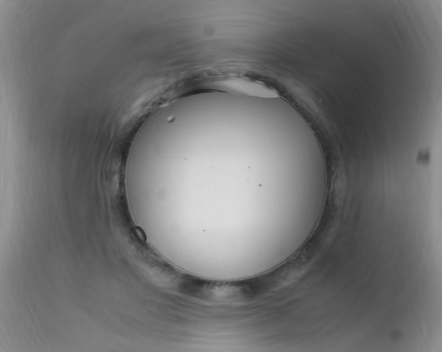 X0000110950501200907022200