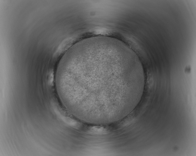 X0000110950502200907022200