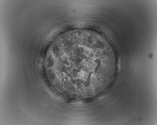 X0000110950503200907022200