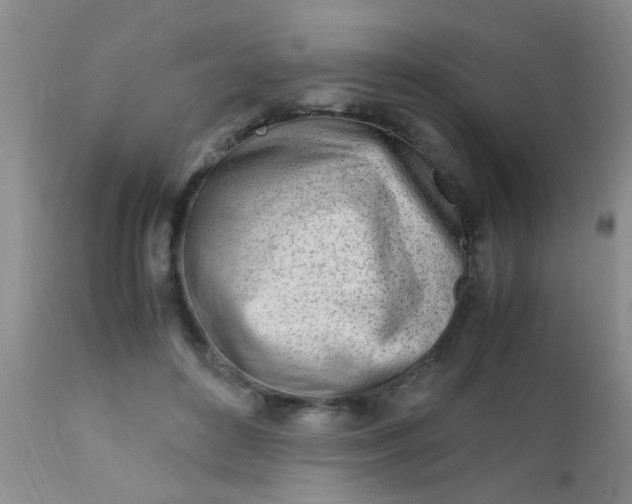 X0000110950504200907022200