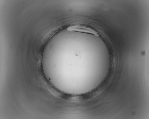 X0000110950505200907022200