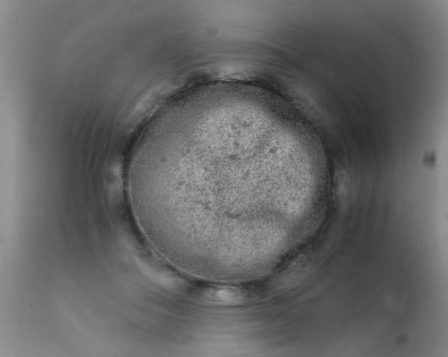 X0000110950506200907022200