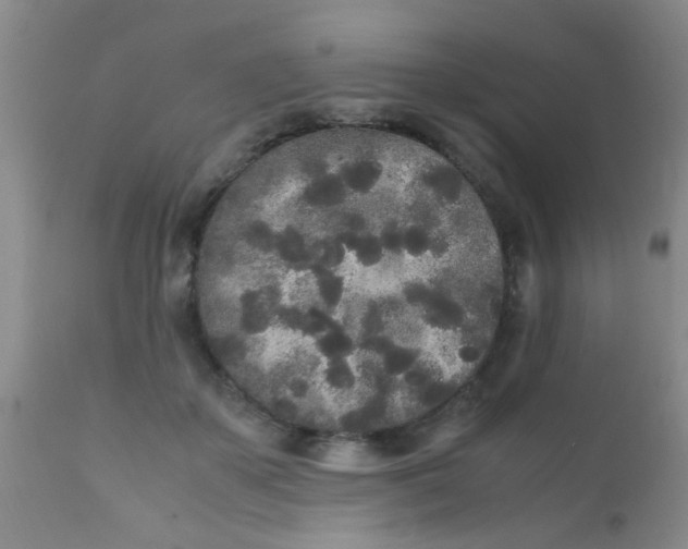 X0000110950507200907022200