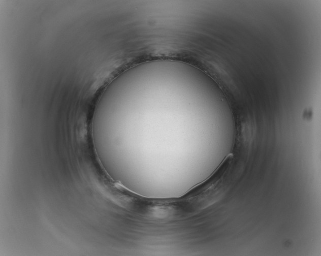 X0000110950508200907022200