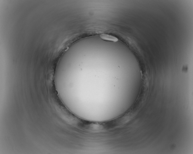 X0000110950509200907022200