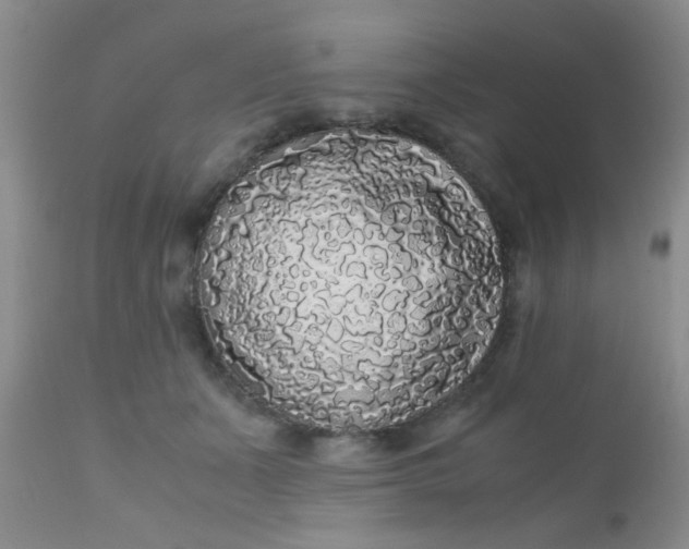 X0000110950511200907022200