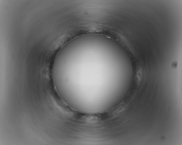 X0000110950512200907022200