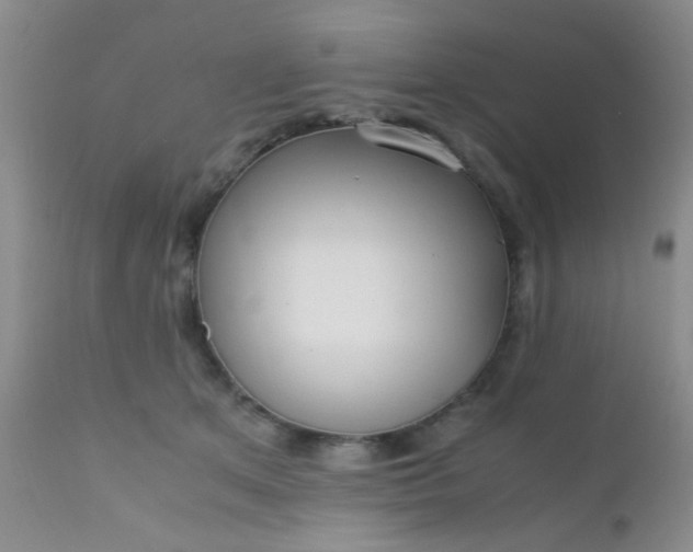 X0000110950513200907022200