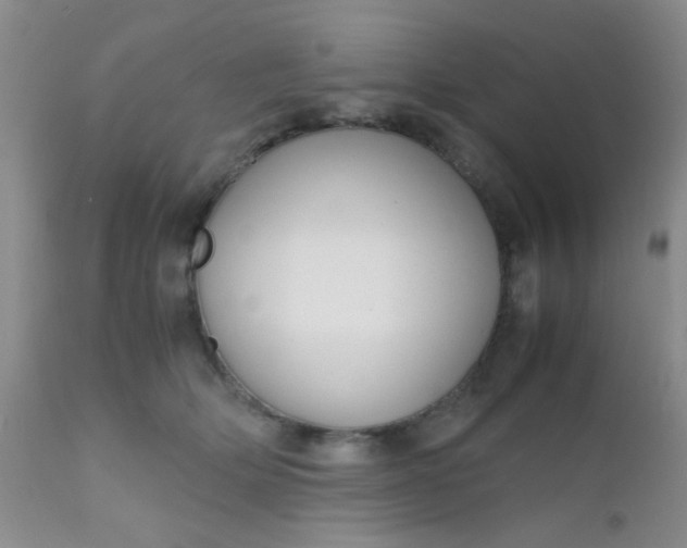 X0000110950514200907022200