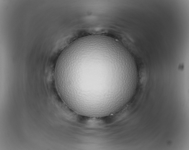 X0000110950515200907022200