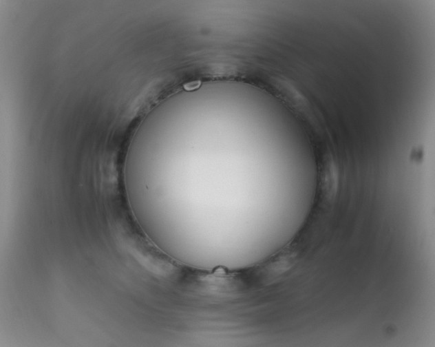 X0000110950516200907022200